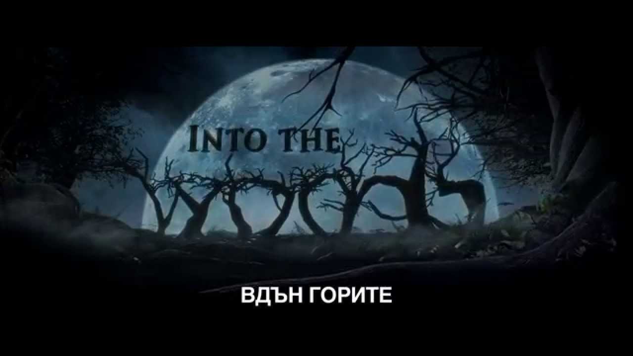 Into the Woods / Вдън горите (2014)